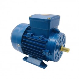 MOTOR MONOFASICO 0.33...